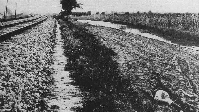 68cbb1eaeb16a.jpg u=2004667406,3268928263&fm=253&fmt=auto&app=120&f=JPEG.jpg